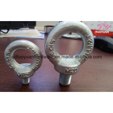Manufacture of DIN582 Eye Nut